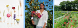 DDPF Madalena Pereira - MPL beauty