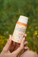 Desodorizantes - MPL beauty