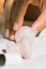 champiñones gua vergüenza rosa