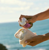 camélia: óleo de limpeza e desmaquilhante peles reativas - Limpeza & Desmaquilhantes - MPL beauty