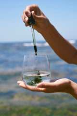 gotas detox - Gotas - MPL beauty