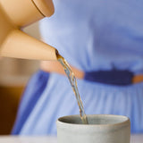 infusão super imunidade - Infusões - MPL beauty