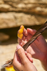 sol: máscara cabelo reparação profunda - Máscara & Reparação - MPL beauty