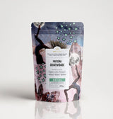 proteína criatividade: foco e concentração - Proteínas Vegetais - MPL beauty